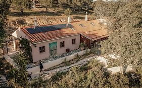 The Lemon Lodge